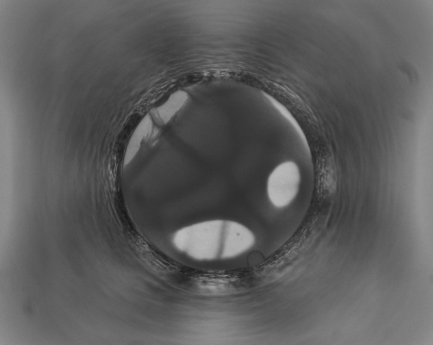 X0000113060661200909250910