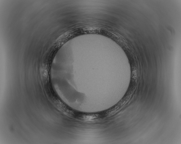 X0000113060662200909250910