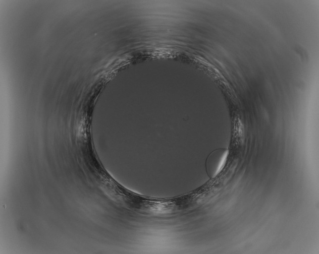 X0000113060663200909250910