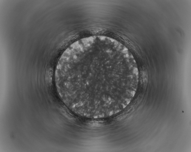 X0000113060664200909250910