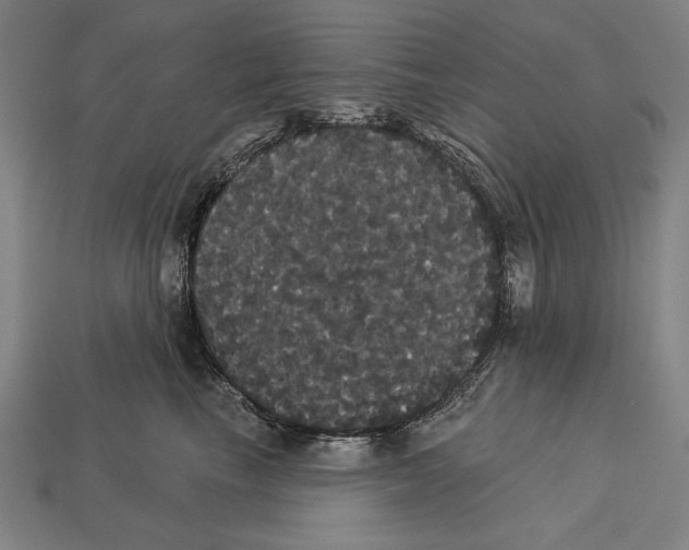 X0000113060665200909250910