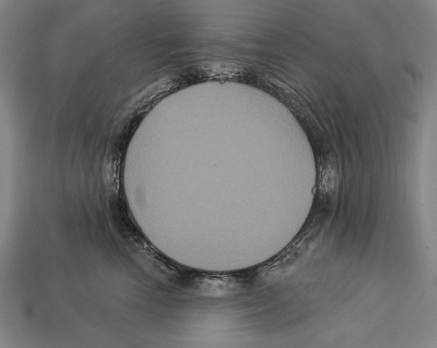 X0000113060666200909250910