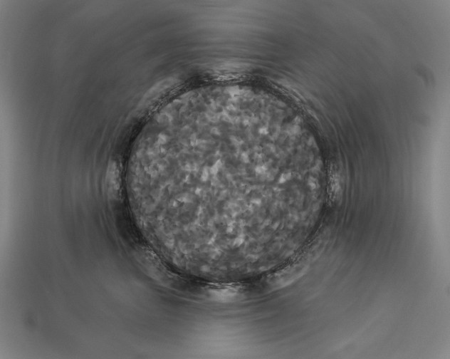 X0000113060667200909250910