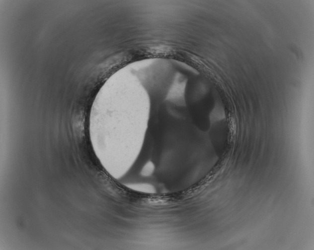 X0000113060668200909250910