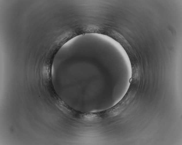 X0000113060669200909250910