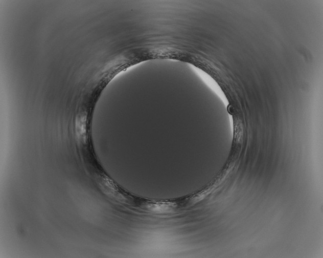 X0000113060670200909250910