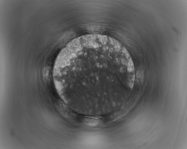 X0000113060671200909250910