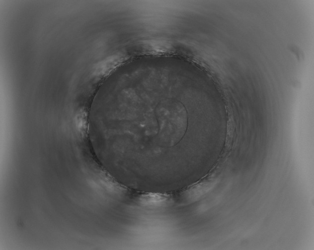 X0000113060672200909250910