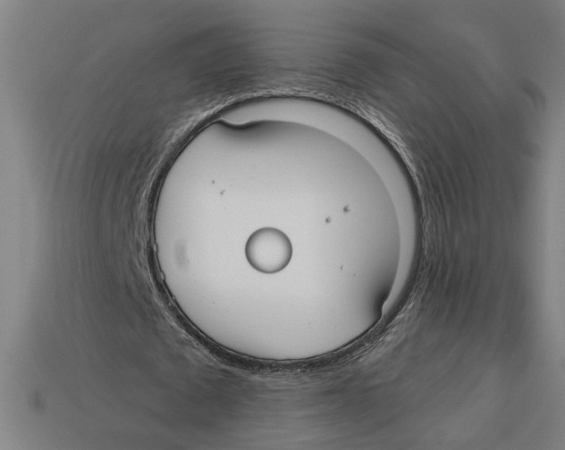 X0000113060673200909250909