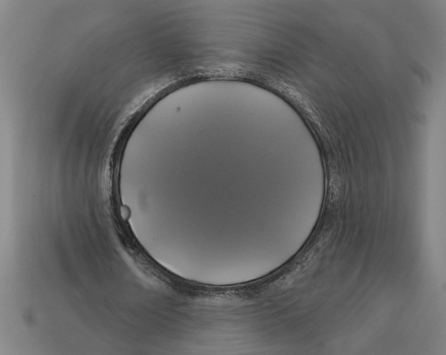 X0000113060674200909250909