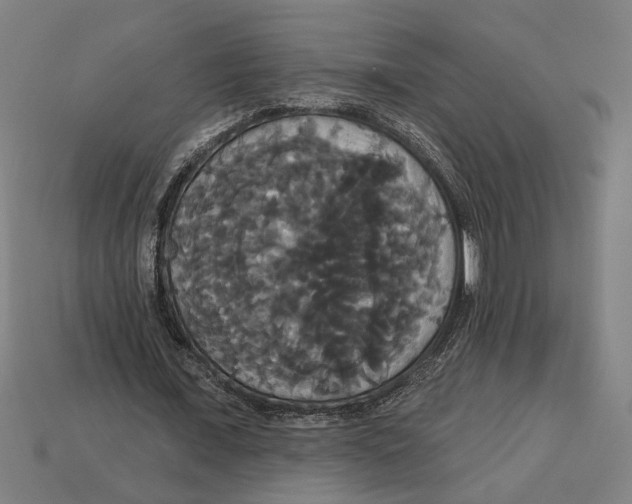 X0000113060675200909250909