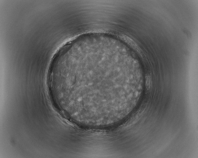 X0000113060676200909250909