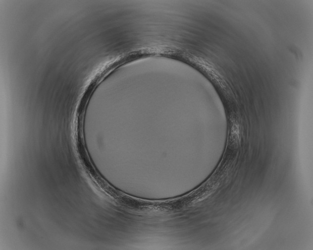 X0000113060678200909250909