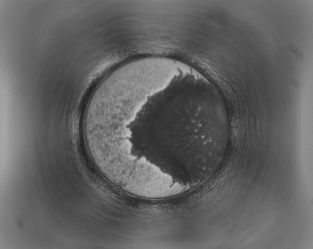 X0000113060679200909250909