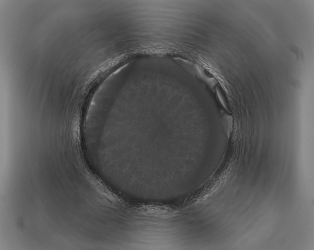 X0000113060681200909250909