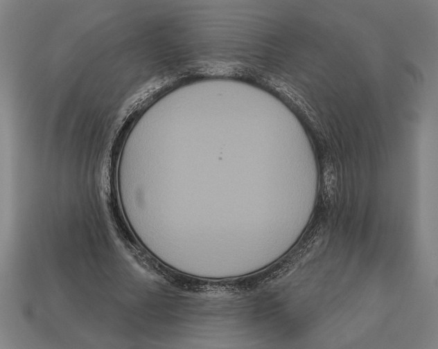 X0000113060682200909250909