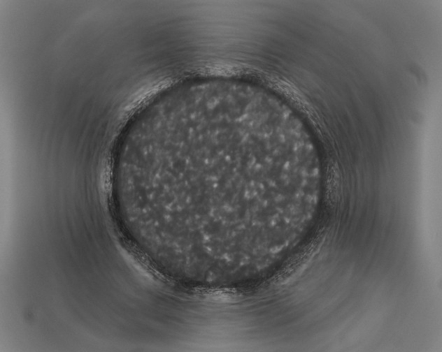 X0000113060683200909250909