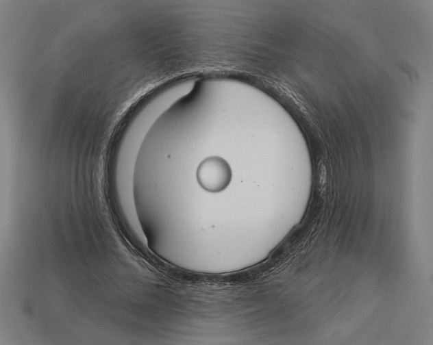 X0000113060684200909250909