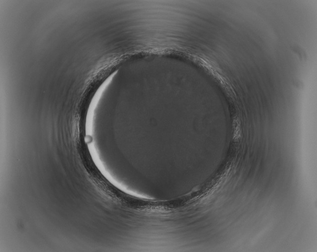 X0000113060685200909250909