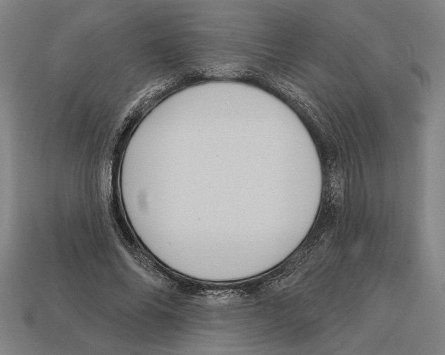 X0000113060686200909250909