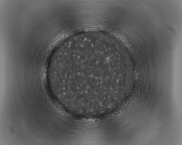 X0000113060687200909250909