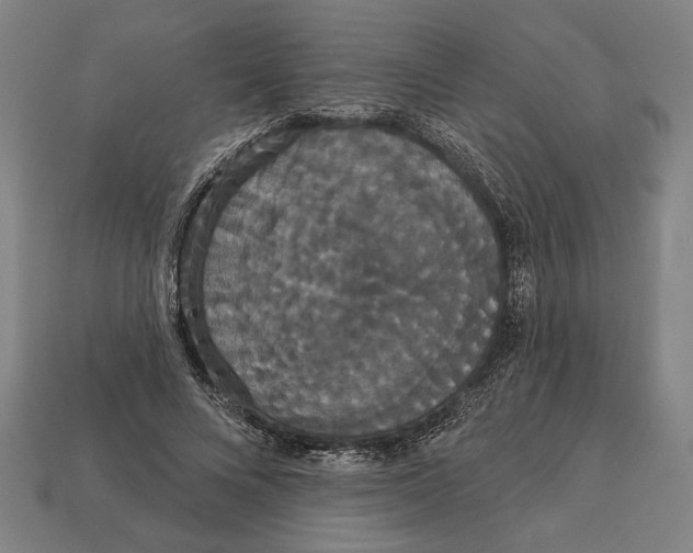 X0000113060688200909250909