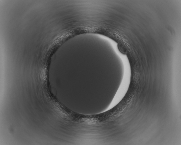 X0000113060689200909250909