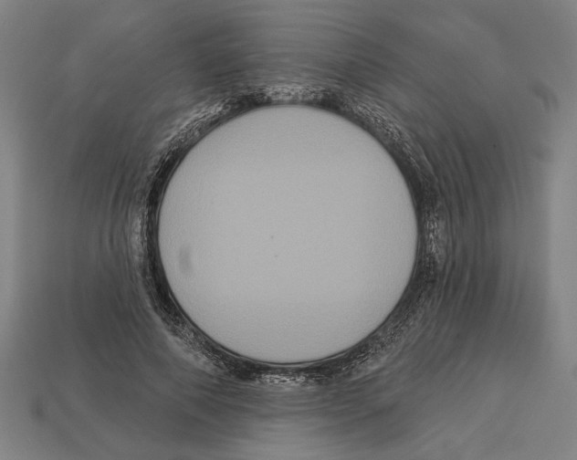 X0000113060690200909250909