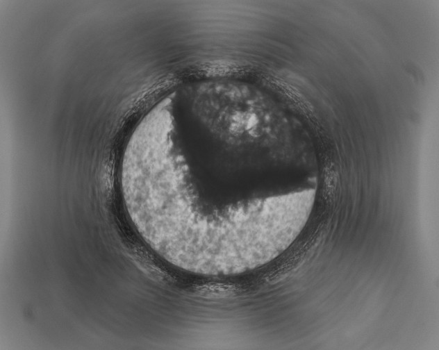 X0000113060691200909250909