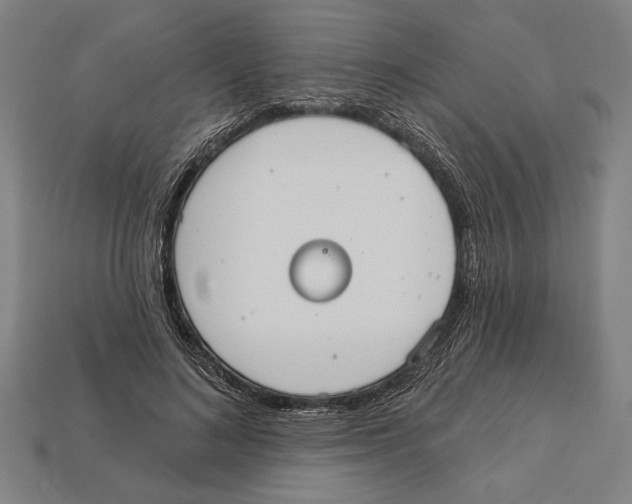 X0000113060692200909250909