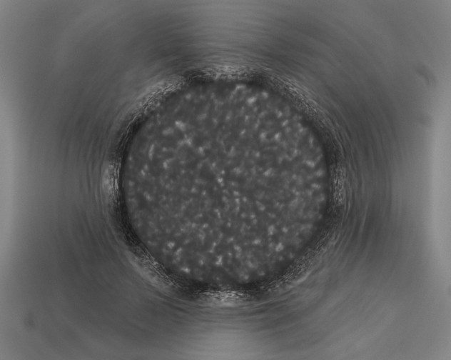 X0000113060695200909250909