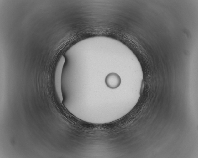 X0000113060696200909250909