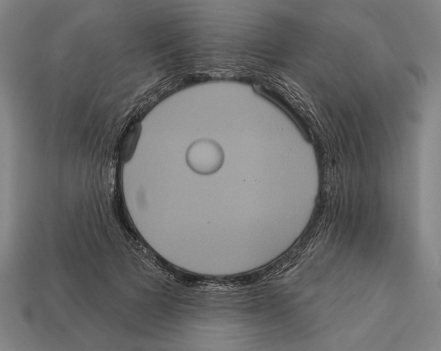 X0000113060697200909250909