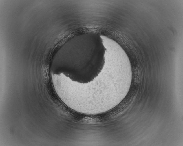 X0000113060699200909250909