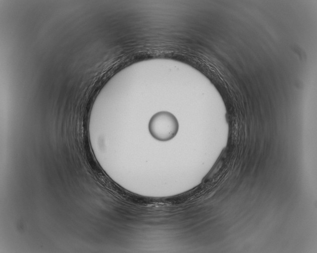 X0000113060700200909250909