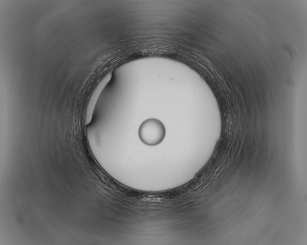 X0000113060701200909250909