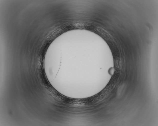 X0000113060702200909250909