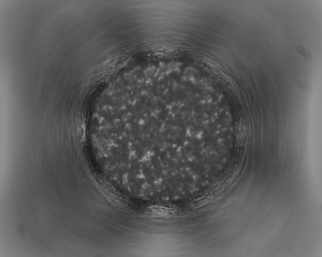 X0000113060703200909250909