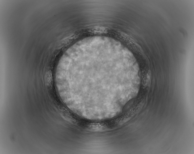 X0000113060704200909250909