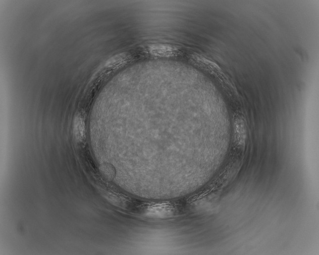 X0000113060705200909250909