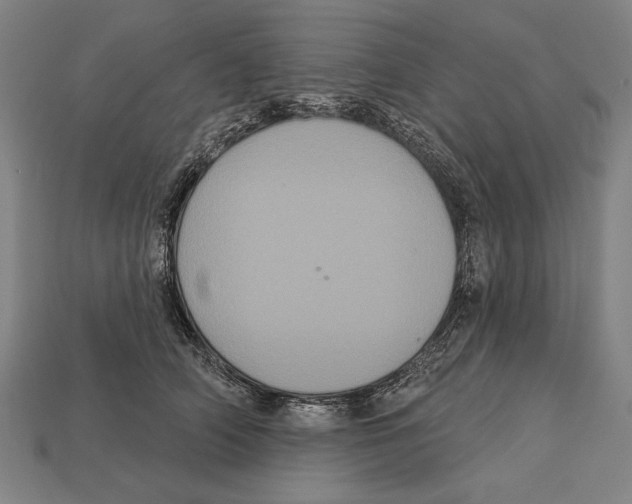 X0000113060706200909250909