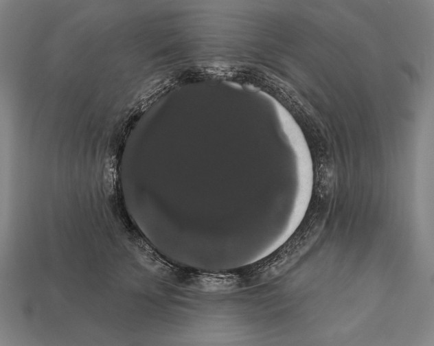 X0000113060707200909250909