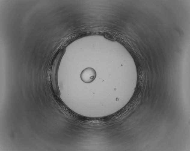 X0000113060708200909250909