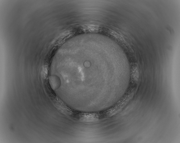 X0000113060709200909250909