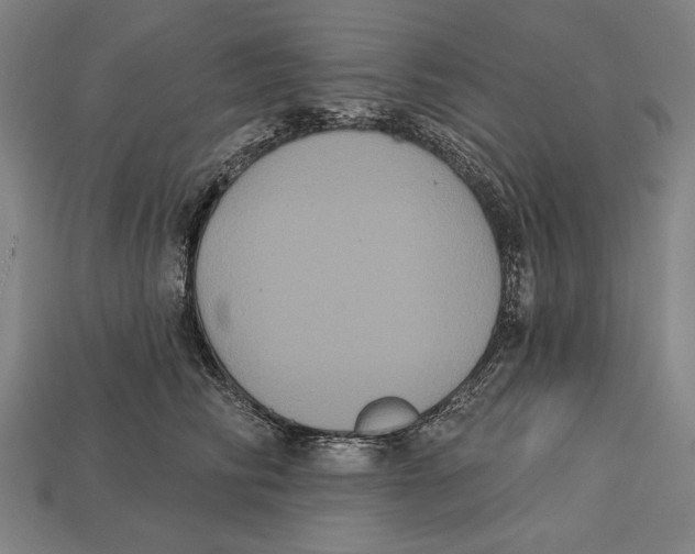 X0000113060710200909250909