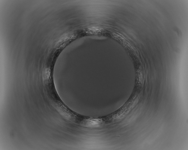 X0000113060711200909250909