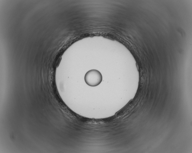 X0000113060712200909250909