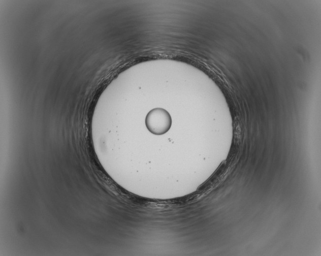 X0000113060713200909250909