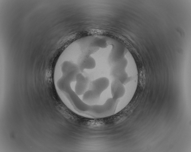 X0000113060714200909250909