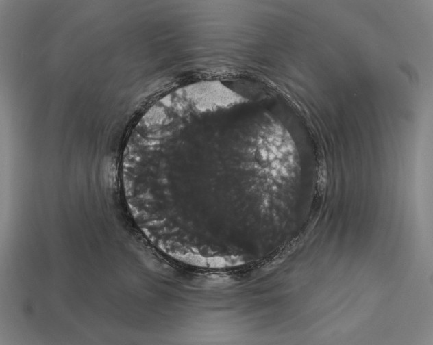 X0000113060715200909250909